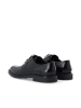 Bianco Derby-Schuhe in Black