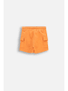 Coccodrillo Kurze Hosen in orange