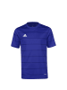 adidas Performance Fußballtrikot Campeon 21 in blau