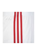 adidas Performance Funktionsshorts Squadra 17 in weiß / rot
