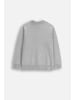 Coccodrillo Strickpullover in grau