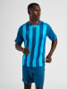 Hummel Hummel Das Hmlcore Xk Striped Jersey S/S Bietet Hervorragenden Komfort Dank Des Interlock-Gewebes, Das Viel Dehnbarkeit Und Bewegungsflexibilität Bietet. in BLUE CORAL/BLUE DANUBE