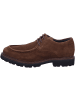 Sioux Schnürschuh in braun