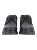 Camel Active Halbschuhe in Schwarz/Schwarz