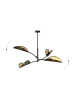 Licht-Erlebnisse Deckenlampe (B)102 x (L)102 x (H)51 cm in Schwarz Gold
