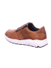 Solidus Sneaker Low in braun