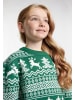 myMo KIDS Pullover in Grün Weiss