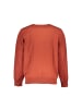 U.S. Polo Bronze Herren Pullover