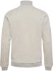 Hummel Hummel Reißverschluss Sweatshirt Raglanärmel Hmllgc Ron Herren in TOFU MELANGE
