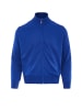 RAIDO Herren Cardigan in Blau