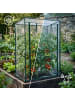 relaxdays 2 x Gewächshaus in Transparent - (B)100 x (H)150 x (T)50 cm