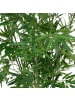Atmosphera Créateur d'intérieur Künstliche Bambuspflanze in grün
