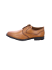 LLOYD Business Schuhe für Herren in cognac