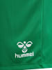 Hummel Short "Essential Shorts" in Multicolor