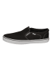 Vans Sneaker Low Asher in schwarz