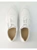 Terry Sneaker low in Weiß