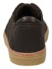 GANT Footwear Sneaker in Espresso