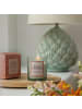 Laura Ashley Duftkerzen Laura Ashley - Mandarin & Sandalwood