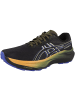 asics Laufschuhe GT-2000 14 GTX in schwarz