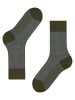 Falke Family Special Edition Socke in Artichoke