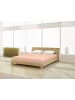 Mr.Sandman Spannbetttuch Elastan classic 90-100 x 200-220 cm in apricot