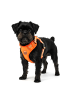 Reichstadt Reichstadt  Hundegeschirr  25RSP083 Orange S