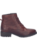Josef Seibel Stiefelette Kate 17 in rot