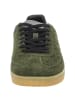 Sun68 Sneaker Low in grün