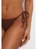 Moda Minx Bikini Hose Scrunch Tie in Coffee