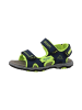 Kappa Sneakers Low in navy/lime