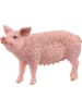 Schleich Schwein in Mehrfarbig ab 3 Jahre
