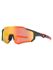 Rockbros Rockbros 10182 polarisierende Fahrradbrille