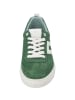 Palado Sneakers Low Vebax in Grün