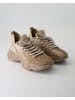 Steve Madden Slip On Sneaker in Bronze