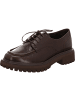 Paul Green Schnürschuh in braun