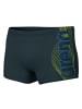 Arena Basic Swim Short in Anthrazit
