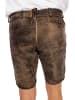 MADDOX Lederhose HOPFENSEE in hellbraun