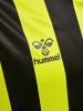 Hummel T-Shirt Hmlcore Herren in LIME POPSICLE/BLACK