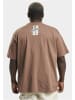 Rocawear T-Shirts in brown