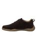 Josef Seibel Sneaker Wallace 07 in braun