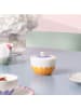 Villeroy & Boch 2er Set Milch- und Zuckerset Fleur Couleur bunt in bunt