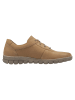 Josef Seibel Halbschuhe  in Beige