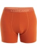 icebreaker M ANATOMICA BOXERS in Orange