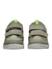 PEPINO Halbschuhe in Grün