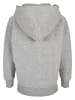 Urban Classics Sweat & Fleece - Hoodies Zipthrough in grey