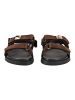 Steve Madden Sandalen in Dunkelbraun