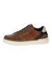 Bullboxer Sneaker in Cognac