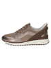 Caprice Sneaker Low in Beige