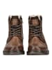Tom Tailor Stiefelette Braun