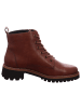 ara Damenschnürrstiefel warm Absatz KENT in  Braun